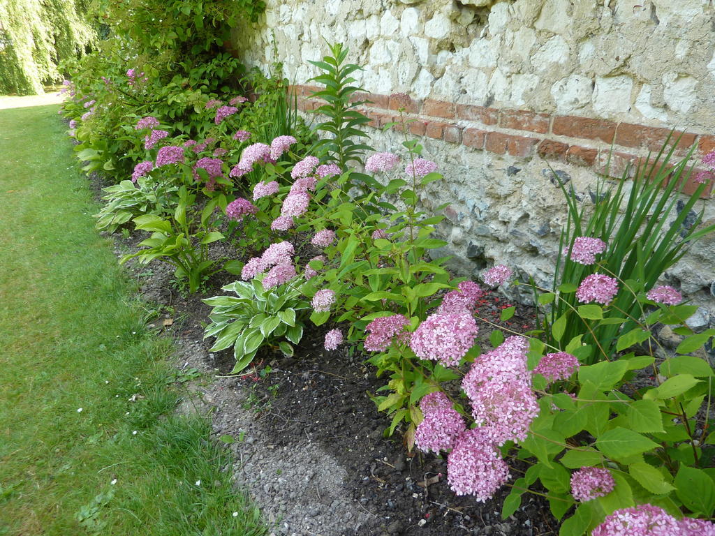 Bed and Breakfast Le Moulin De Tigny Exterior foto