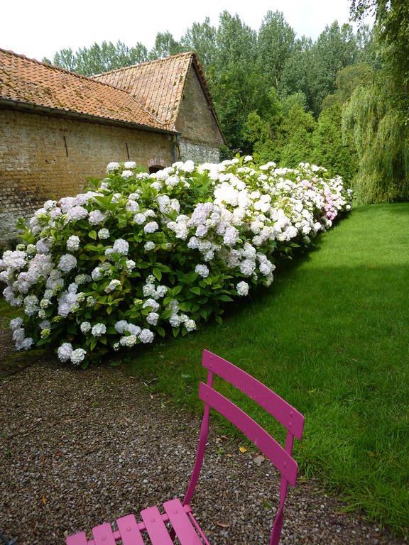 Bed and Breakfast Le Moulin De Tigny Exterior foto